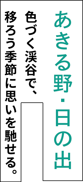 あきる野・日の出 色づく渓谷で、 移ろう季節に思いを馳せる。