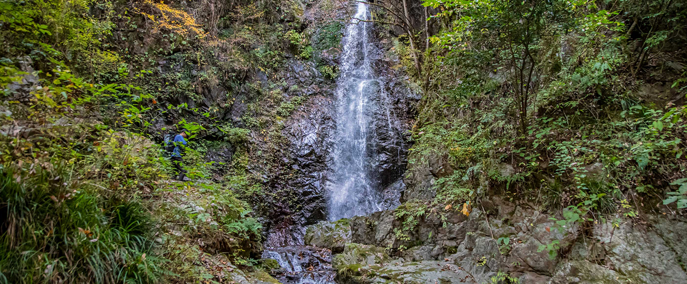 苔むした岩肌を流れ落ちる滝