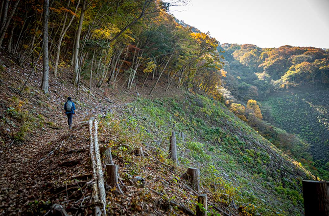 開けた山道