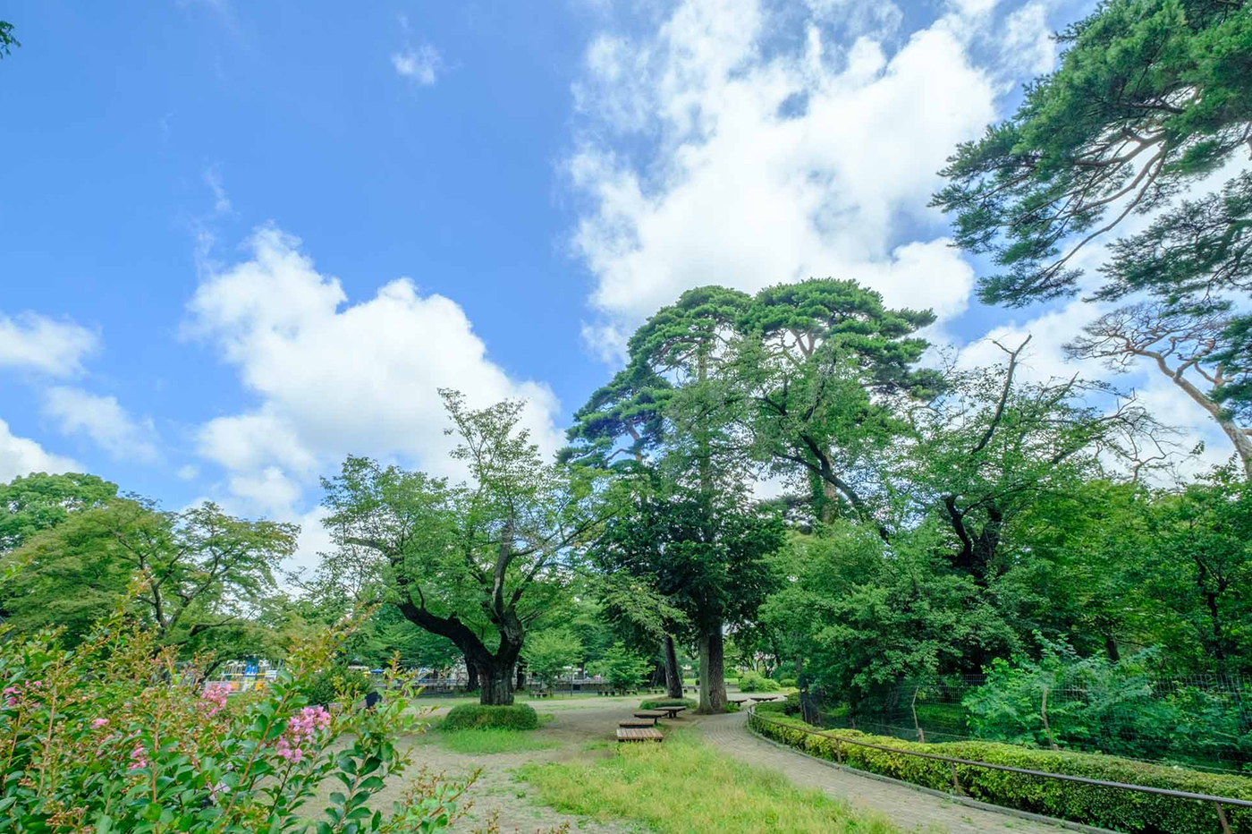 井の頭自然文化園