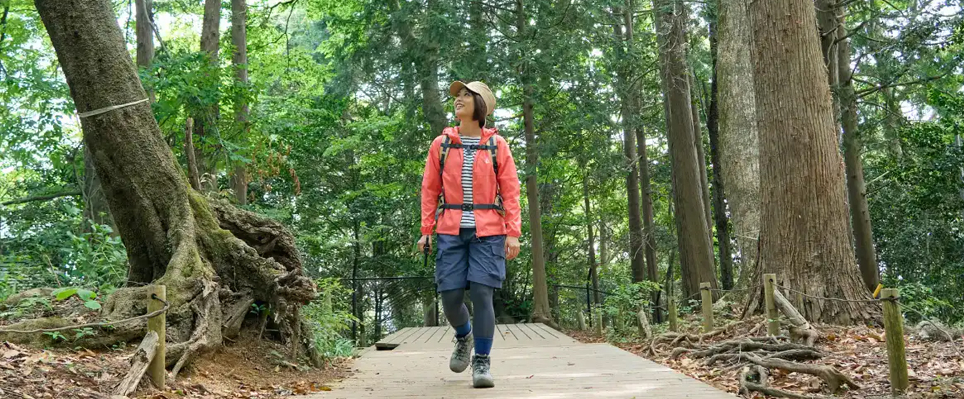 木々に囲まれた登山道を進むかほさん