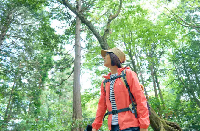 木々を見上げて新緑の芽に感動するかほさん