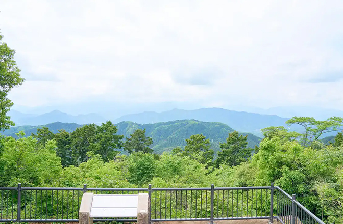 展望台から広がる青々とした山々