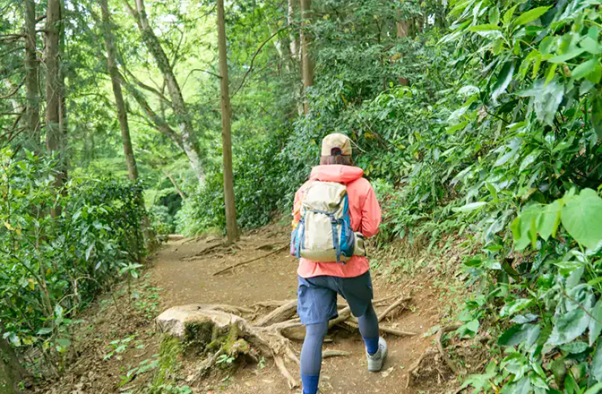木の根が露わになった登山道を歩くかほさん