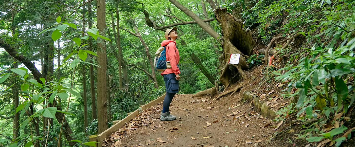 登山道で新緑を眺めるかほさん