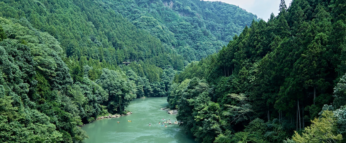 渓流の景色