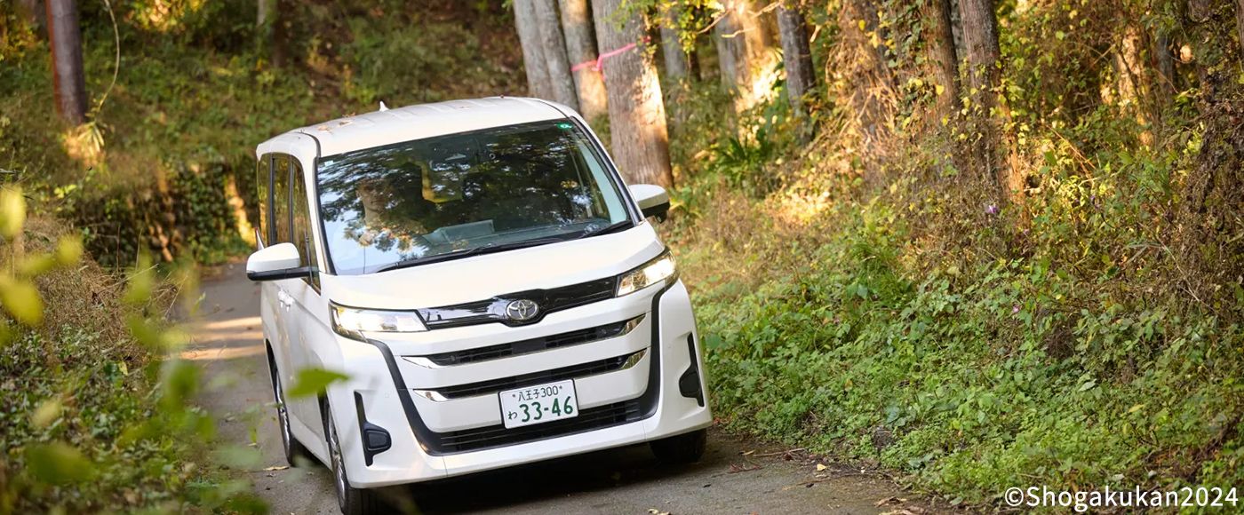 自然感たっぷりの道を走るペイトンファミリーの車