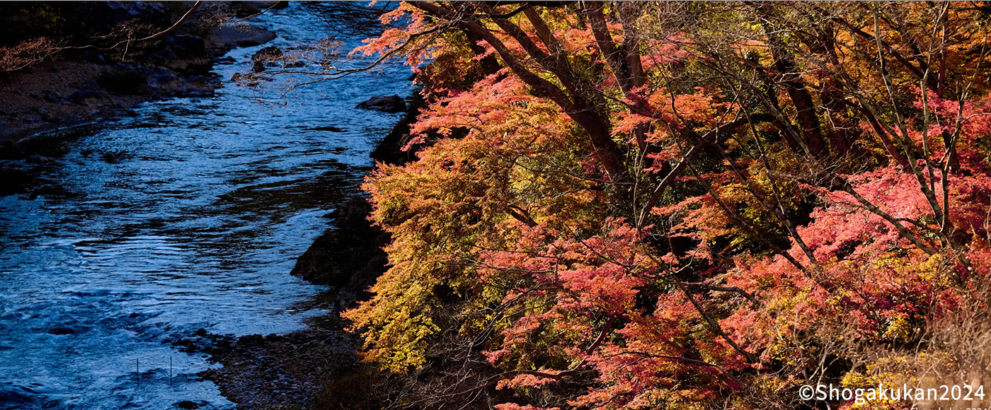 紅葉と清流のコントラストが美しい青梅の景色