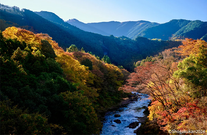 鵜の瀬橋からの御岳渓谷の眺め