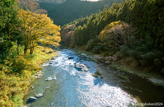 橋から見た多摩川の眺め